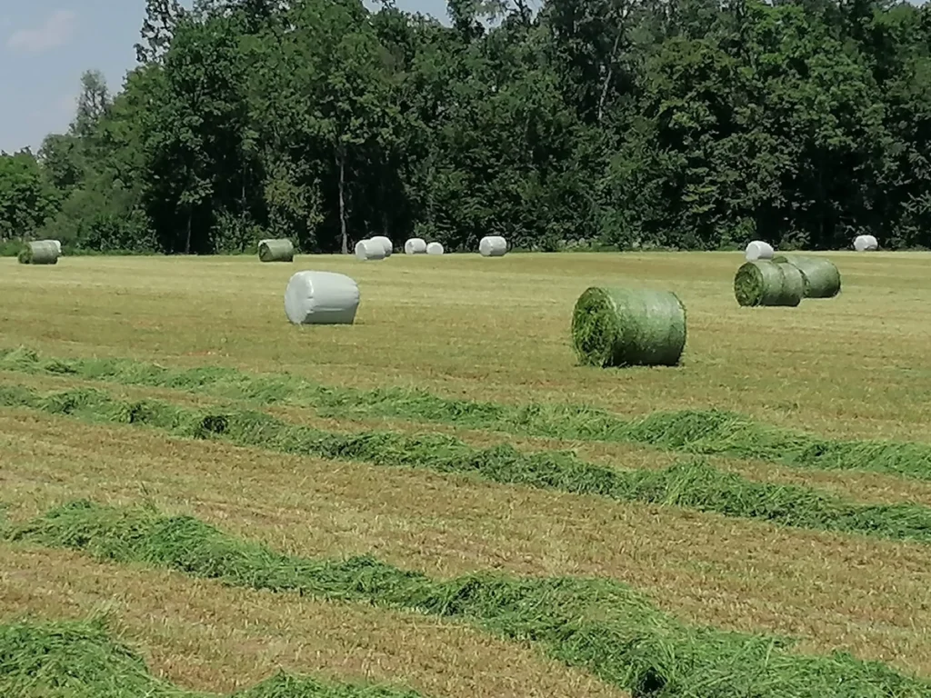 Baliranje trave