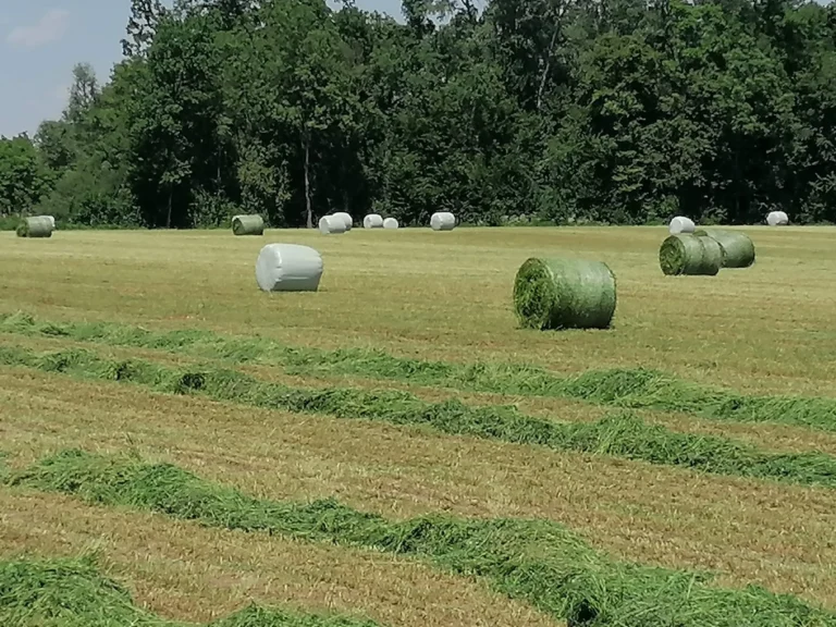 Baliranje trave
